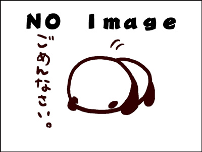 オプション加工 背もたれ補強/ノーイメージ