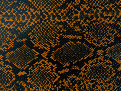 LT_SN-3特殊生地・スネーク（茶）