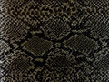 生地サンプルLT_SN-4スネーク/黒　サムネール画像