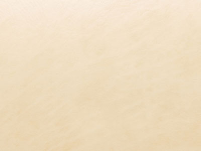 LT_SS-2レザー（サンセブン/アイボリー）